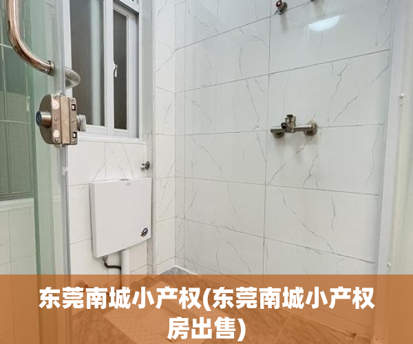 东莞南城小产权(东莞南城小产权房出售) 东莞南城小产权(东莞南城小产权房出售)