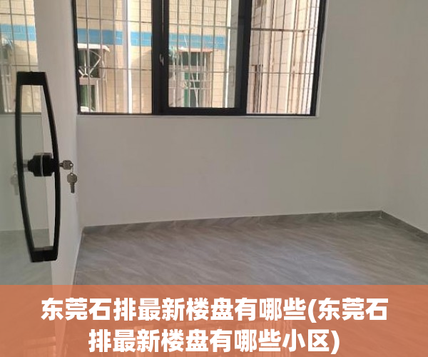 东莞石排最新楼盘有哪些(东莞石排最新楼盘有哪些小区) 东莞石排最新楼盘有哪些(东莞石排最新楼盘有哪些小区)