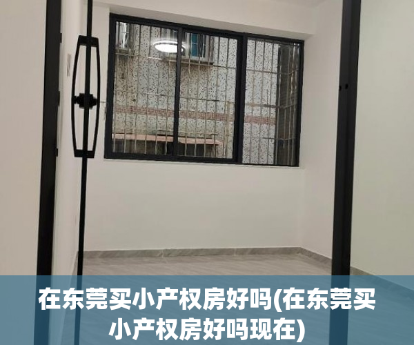 在东莞买小产权房好吗(在东莞买小产权房好吗现在)