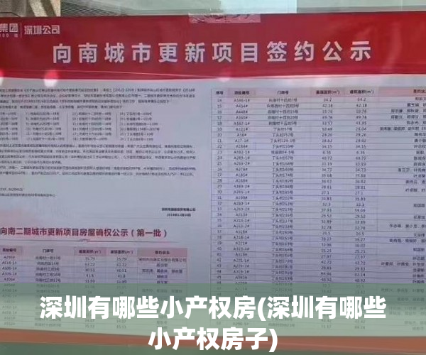深圳有哪些小产权房(深圳有哪些小产权房子)