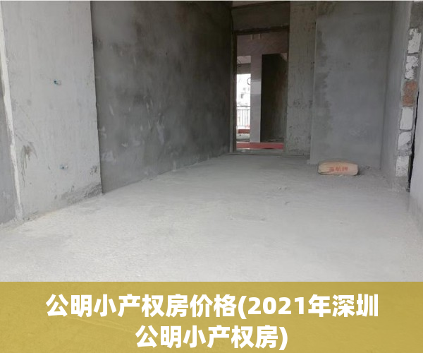 公明小产权房价格(2021年深圳公明小产权房) 公明小产权房价格(2021年深圳公明小产权房)