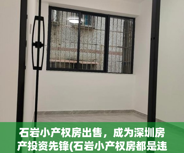 石岩小产权房出售，成为深圳房产投资先锋(石岩小产权房都是违建吗)