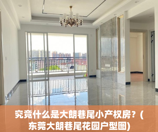 究竟什么是大朗巷尾小产权房？(东莞大朗巷尾花园户型图)
