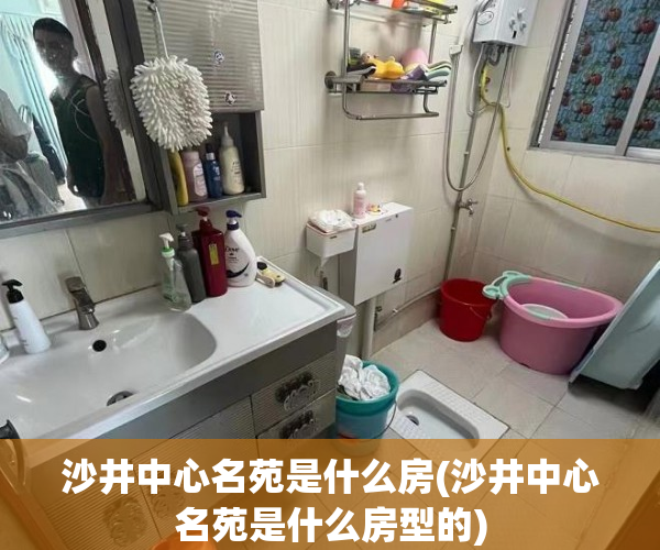 沙井中心名苑是什么房(沙井中心名苑是什么房型的)