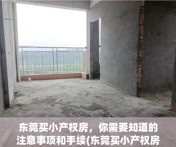 东莞买小产权房，你需要知道的注意事项和手续(东莞买小产权房,你需要知道的注意事项和手续有哪些)
