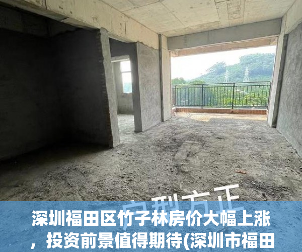 深圳福田区竹子林房价大幅上涨，投资前景值得期待(深圳市福田区竹子林房价)