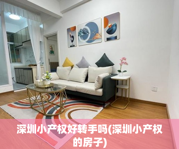 深圳小产权好转手吗(深圳小产权的房子)