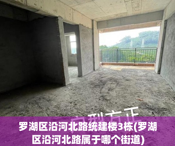 罗湖区沿河北路统建楼3栋(罗湖区沿河北路属于哪个街道) 罗湖区沿河北路统建楼3栋(罗湖区沿河北路属于哪个街道)
