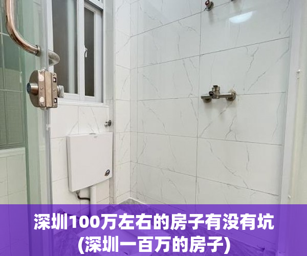 深圳100万左右的房子有没有坑(深圳一百万的房子)