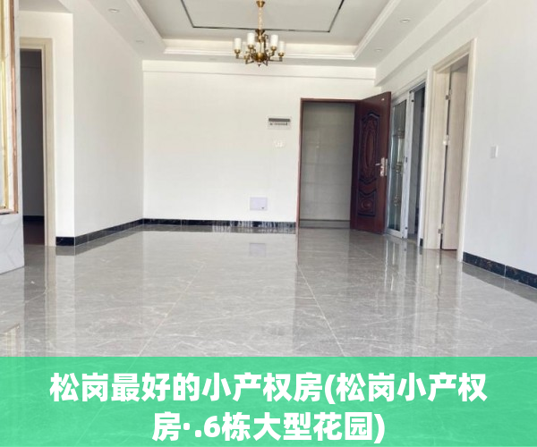 松岗最好的小产权房(松岗小产权房·.6栋大型花园)