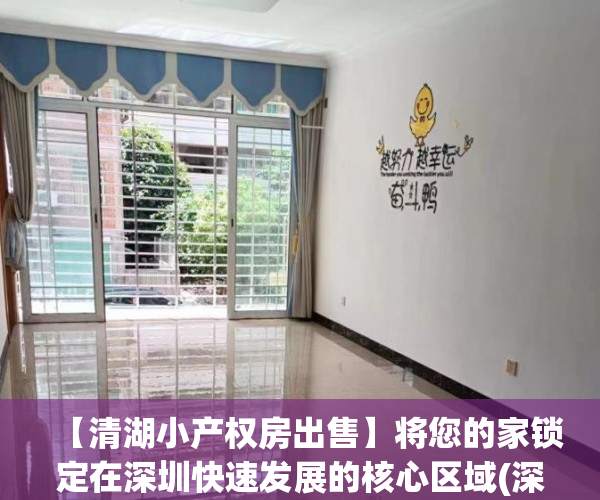 【清湖小产权房出售】将您的家锁定在深圳快速发展的核心区域(深圳龙华清湖小产权)