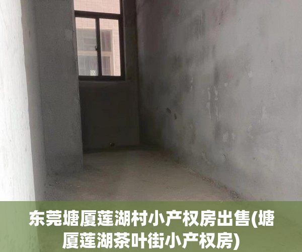 东莞塘厦莲湖村小产权房出售(塘厦莲湖茶叶街小产权房) 东莞塘厦莲湖村小产权房出售(塘厦莲湖茶叶街小产权房)