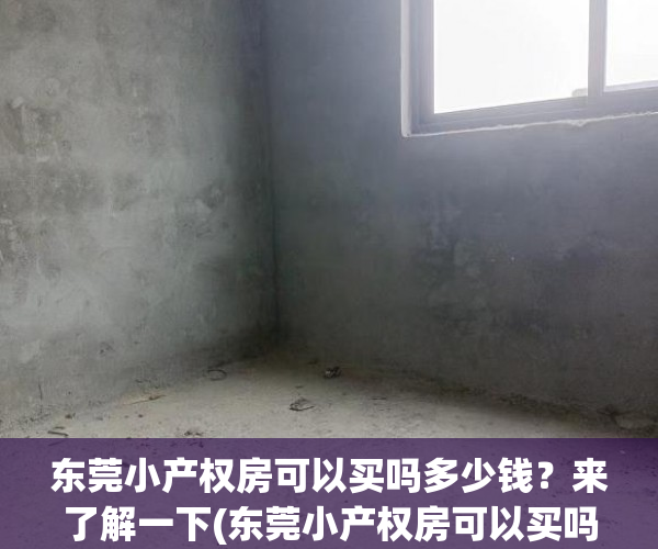东莞小产权房可以买吗多少钱？来了解一下(东莞小产权房可以买吗?产权房)