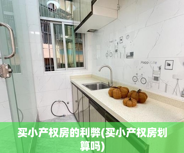 买小产权房的利弊(买小产权房划算吗) 买小产权房的利弊(买小产权房划算吗)
