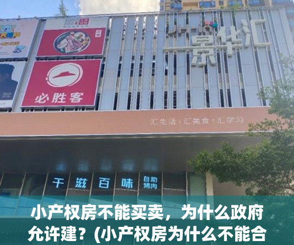 小产权房不能买卖，为什么政府允许建？(小产权房为什么不能合法化)