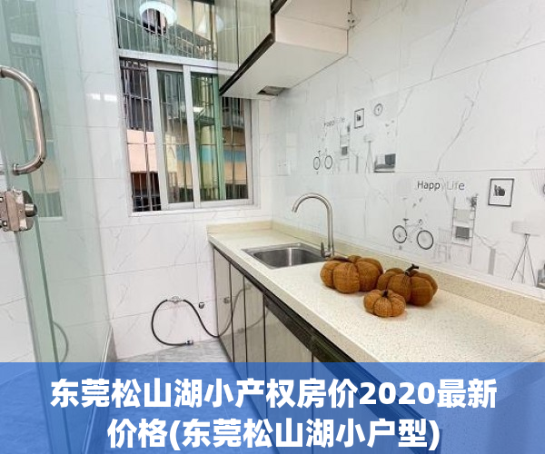 东莞松山湖小产权房价2020最新价格(东莞松山湖小户型) 东莞松山湖小产权房价2020最新价格(东莞松山湖小户型)