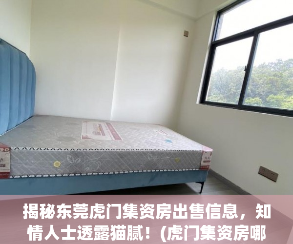 揭秘东莞虎门集资房出售信息，知情人士透露猫腻！(虎门集资房哪里有卖)