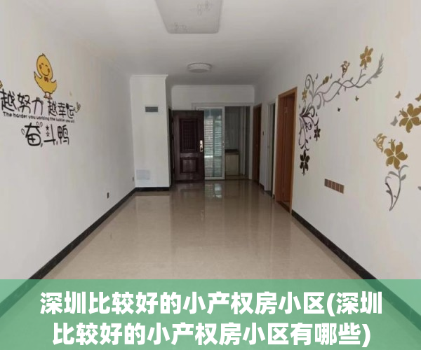 深圳比较好的小产权房小区(深圳比较好的小产权房小区有哪些) 深圳比较好的小产权房小区(深圳比较好的小产权房小区有哪些)