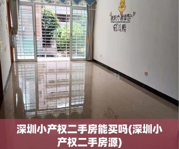 深圳小产权二手房能买吗(深圳小产权二手房源) 深圳小产权二手房能买吗(深圳小产权二手房源)