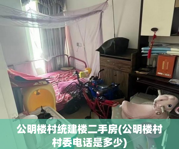 公明楼村统建楼二手房(公明楼村村委电话是多少) 公明楼村统建楼二手房(公明楼村村委电话是多少)