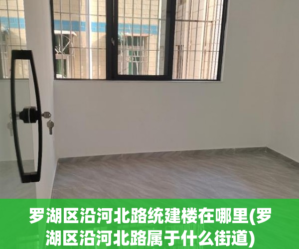罗湖区沿河北路统建楼在哪里(罗湖区沿河北路属于什么街道) 罗湖区沿河北路统建楼在哪里(罗湖区沿河北路属于什么街道)