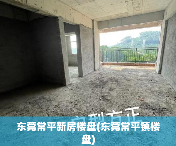 东莞常平新房楼盘(东莞常平镇楼盘)