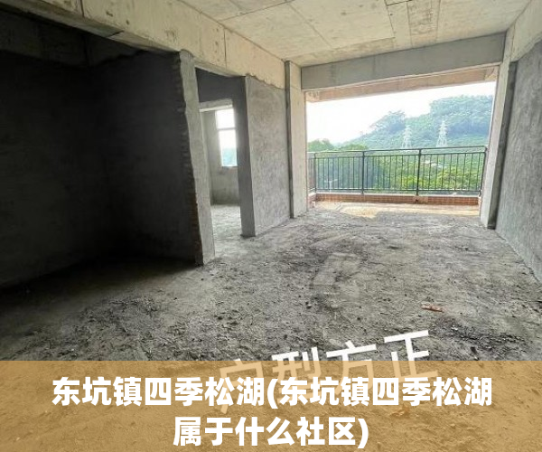 东坑镇四季松湖(东坑镇四季松湖属于什么社区)