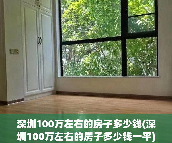 深圳100万左右的房子多少钱(深圳100万左右的房子多少钱一平)