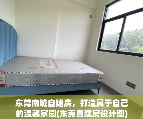 东莞南城自建房，打造属于自己的温馨家园(东莞自建房设计图)