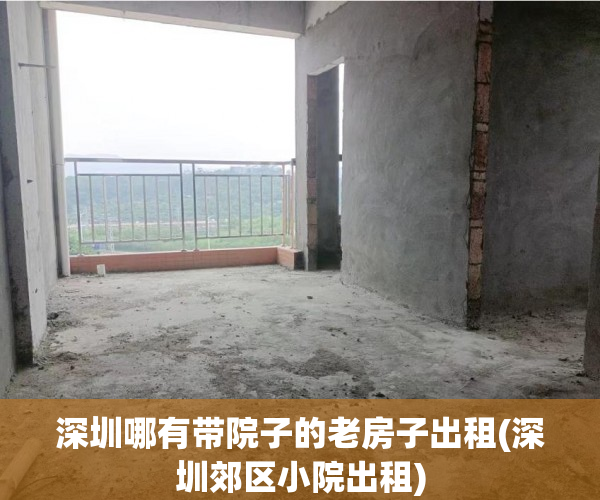 深圳哪有带院子的老房子出租(深圳郊区小院出租)