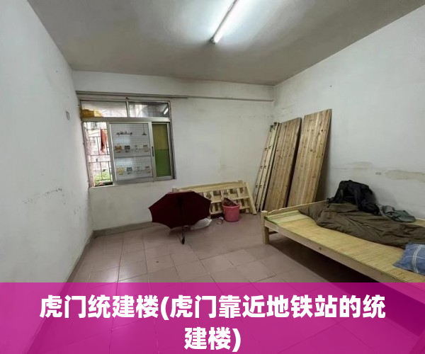 虎门统建楼(虎门靠近地铁站的统建楼)