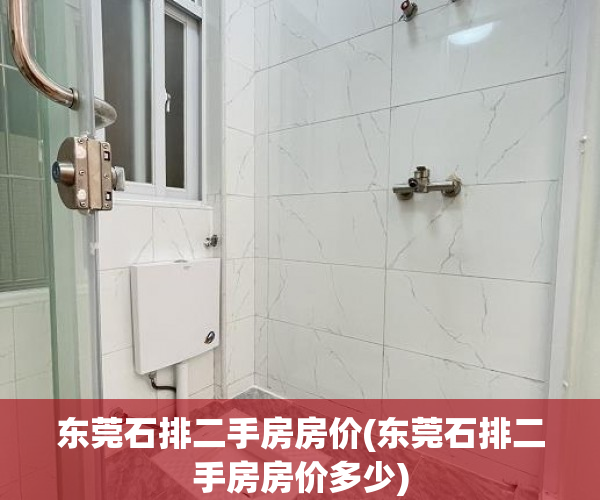 东莞石排二手房房价(东莞石排二手房房价多少) 东莞石排二手房房价(东莞石排二手房房价多少)