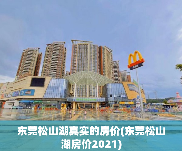 东莞松山湖真实的房价(东莞松山湖房价2021) 东莞松山湖真实的房价(东莞松山湖房价2021)
