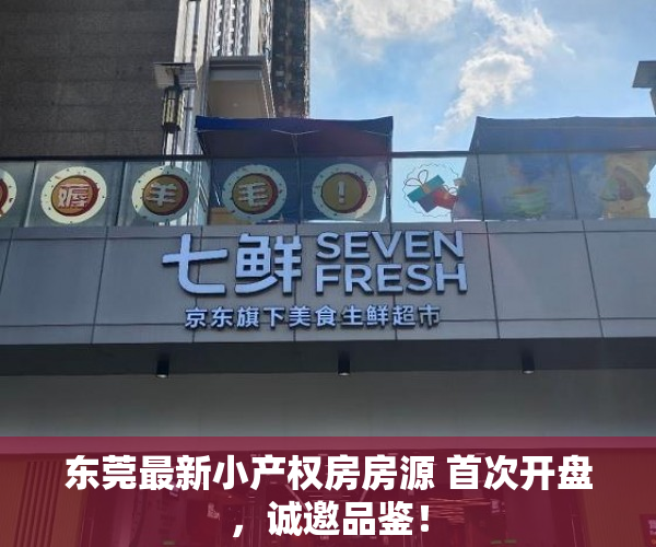 东莞最新小产权房房源 首次开盘，诚邀品鉴！