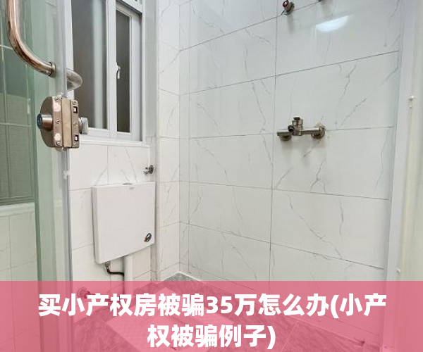 买小产权房被骗35万怎么办(小产权被骗例子)
