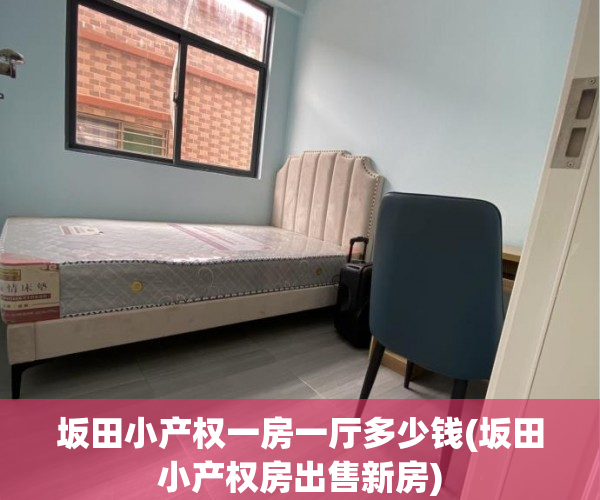 坂田小产权一房一厅多少钱(坂田小产权房出售新房) 坂田小产权一房一厅多少钱(坂田小产权房出售新房)