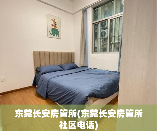东莞长安房管所(东莞长安房管所社区电话)