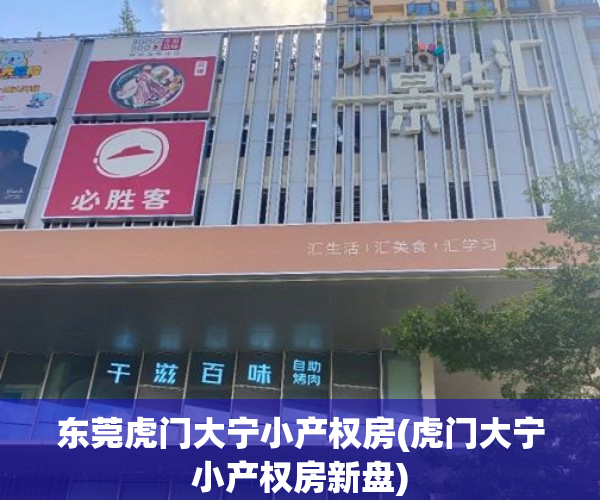东莞虎门大宁小产权房(虎门大宁小产权房新盘) 东莞虎门大宁小产权房(虎门大宁小产权房新盘)