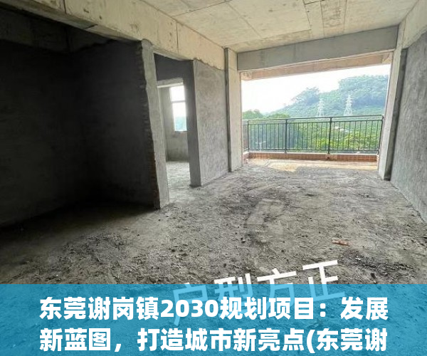 东莞谢岗镇2030规划项目：发展新蓝图，打造城市新亮点(东莞谢岗镇发展前景)