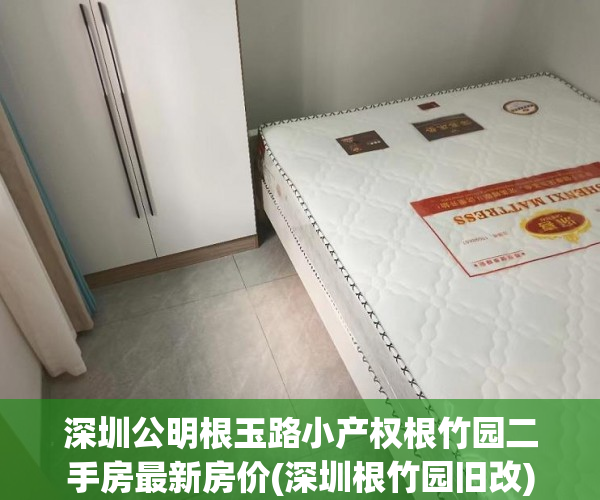 深圳公明根玉路小产权根竹园二手房最新房价(深圳根竹园旧改)