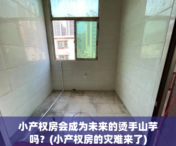 小产权房会成为未来的烫手山芋吗？(小产权房的灾难来了)