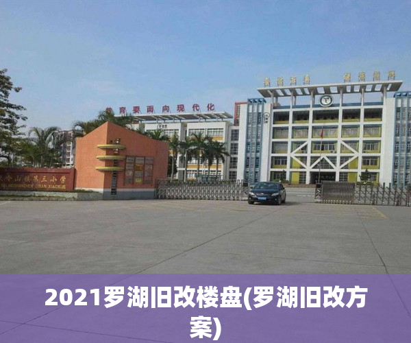 2021罗湖旧改楼盘(罗湖旧改方案)