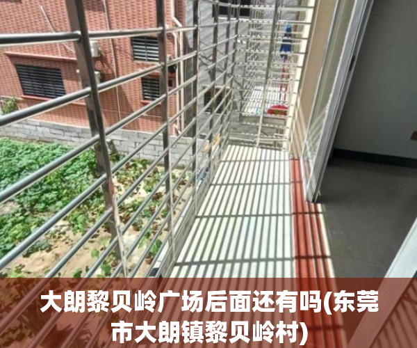 大朗黎贝岭广场后面还有吗(东莞市大朗镇黎贝岭村) 大朗黎贝岭广场后面还有吗(东莞市大朗镇黎贝岭村)