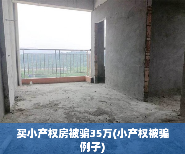 买小产权房被骗35万(小产权被骗例子) 买小产权房被骗35万(小产权被骗例子)