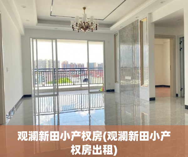 观澜新田小产权房(观澜新田小产权房出租)