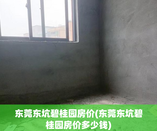 东莞东坑碧桂园房价(东莞东坑碧桂园房价多少钱)