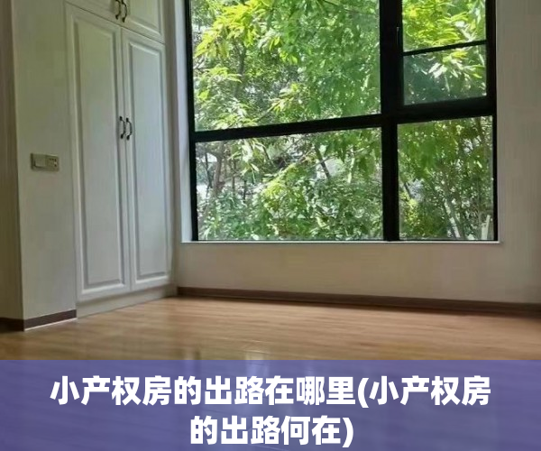 小产权房的出路在哪里(小产权房的出路何在) 小产权房的出路在哪里(小产权房的出路何在)