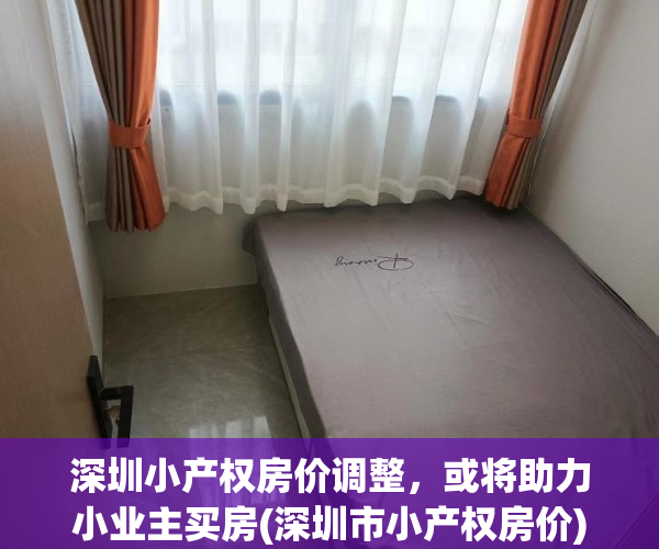 深圳小产权房价调整，或将助力小业主买房(深圳市小产权房价)