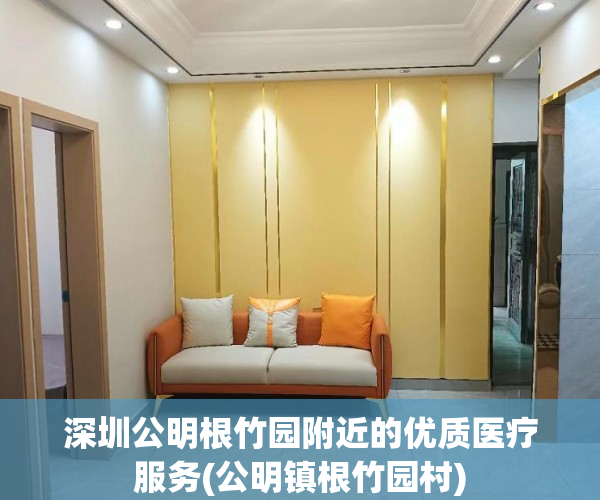 深圳公明根竹园附近的优质医疗服务(公明镇根竹园村)