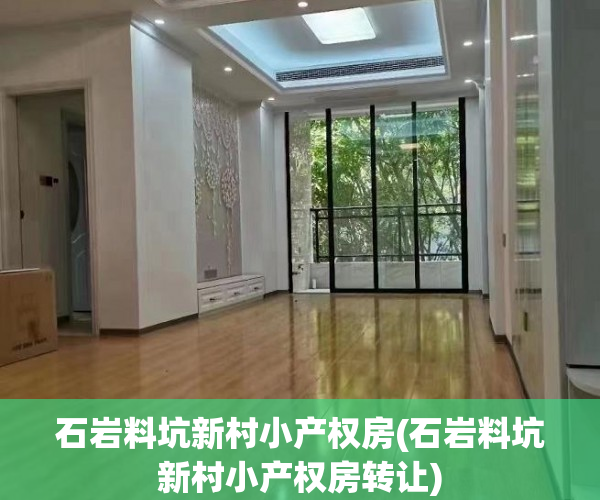 石岩料坑新村小产权房(石岩料坑新村小产权房转让)